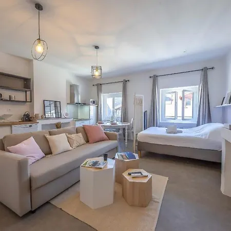 Le Rendezvous Cocooning Des Grenoblois Apartment Grenoble