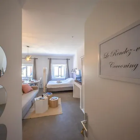 Le Rendezvous Cocooning Des Grenoblois Appartement